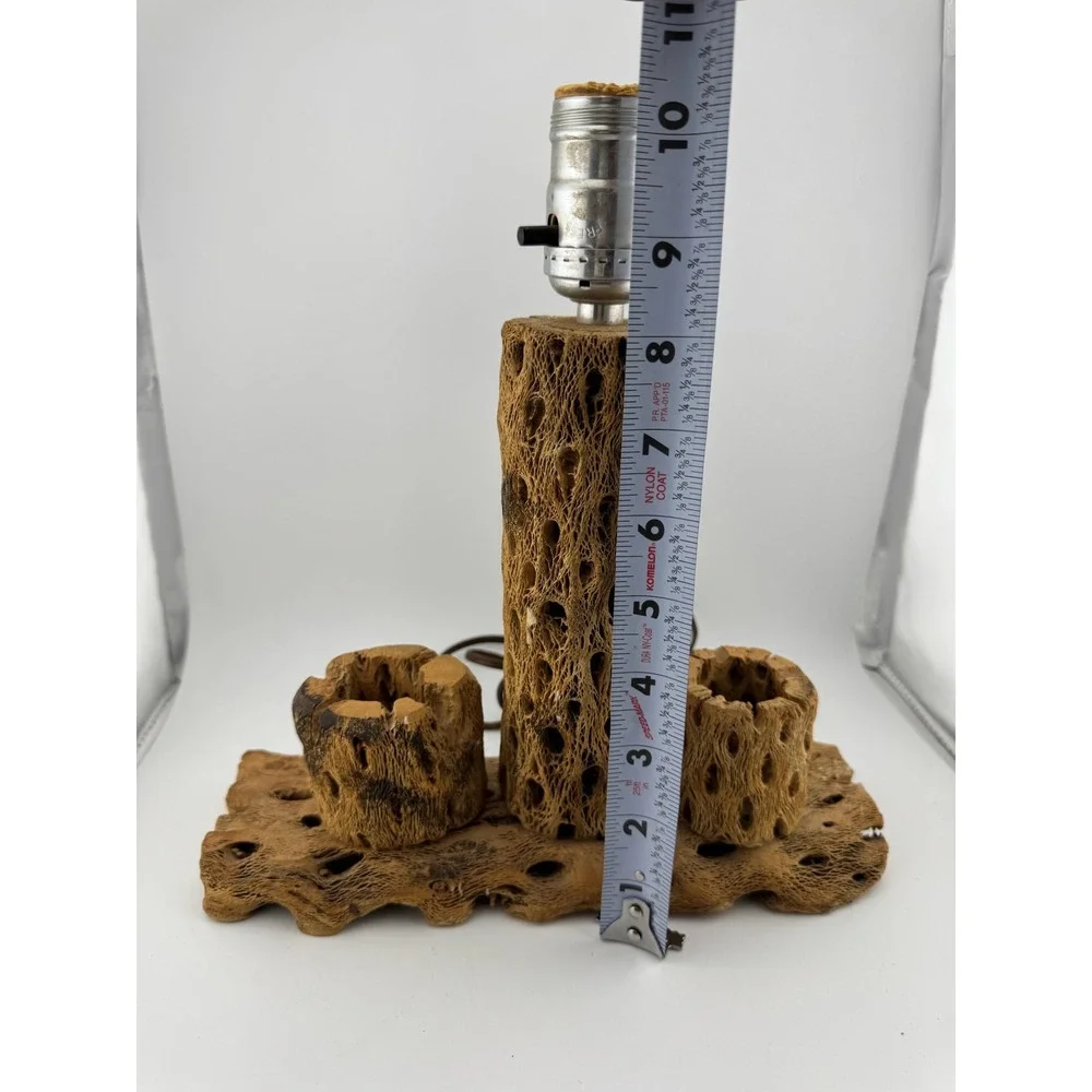 Cholla Cactus Lamp Rustic Desert‎ Decor Table Lamp Unique Accent Lighting